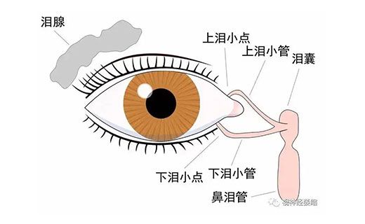 《大众卫生报》：长三角眼病防治专科联盟启动